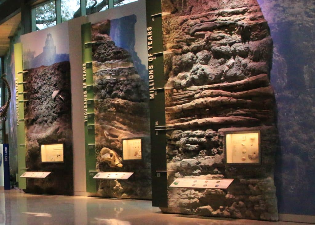 Exhibit rocky walls