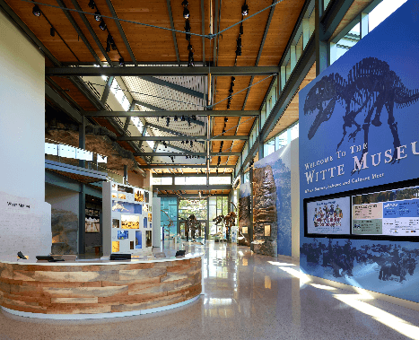 wide shot of dinosaur exhibit