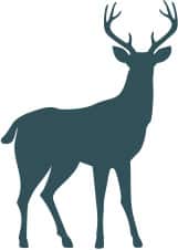 deer icon