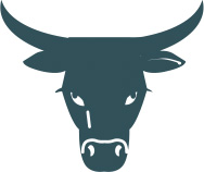 steer icon