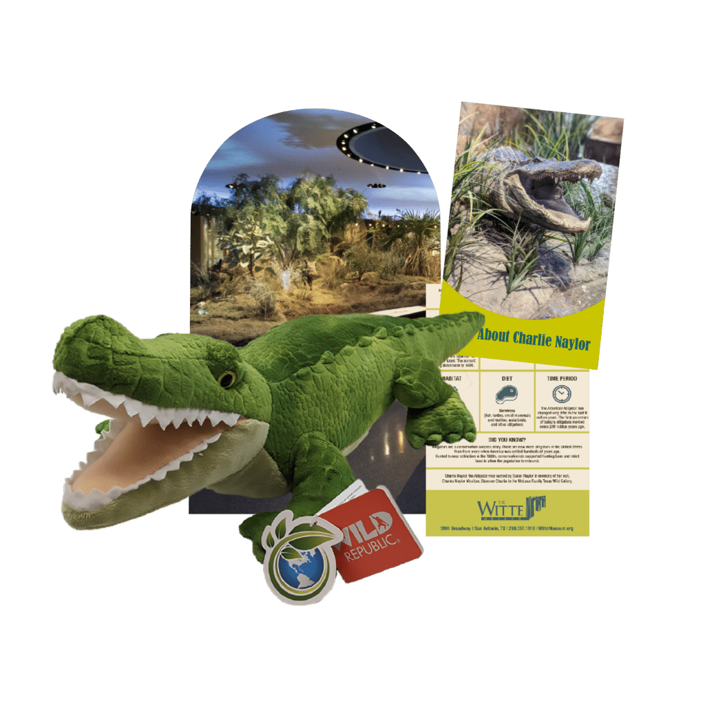 American alligator stuff toy