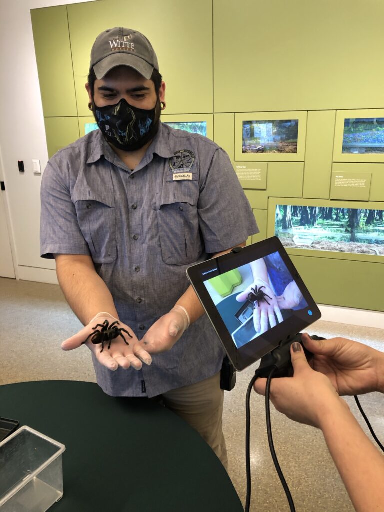 Man holding spider being video streamed to classrooms