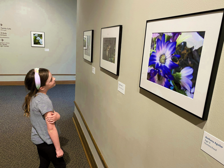 young girl looking at photo of purple flower on wall