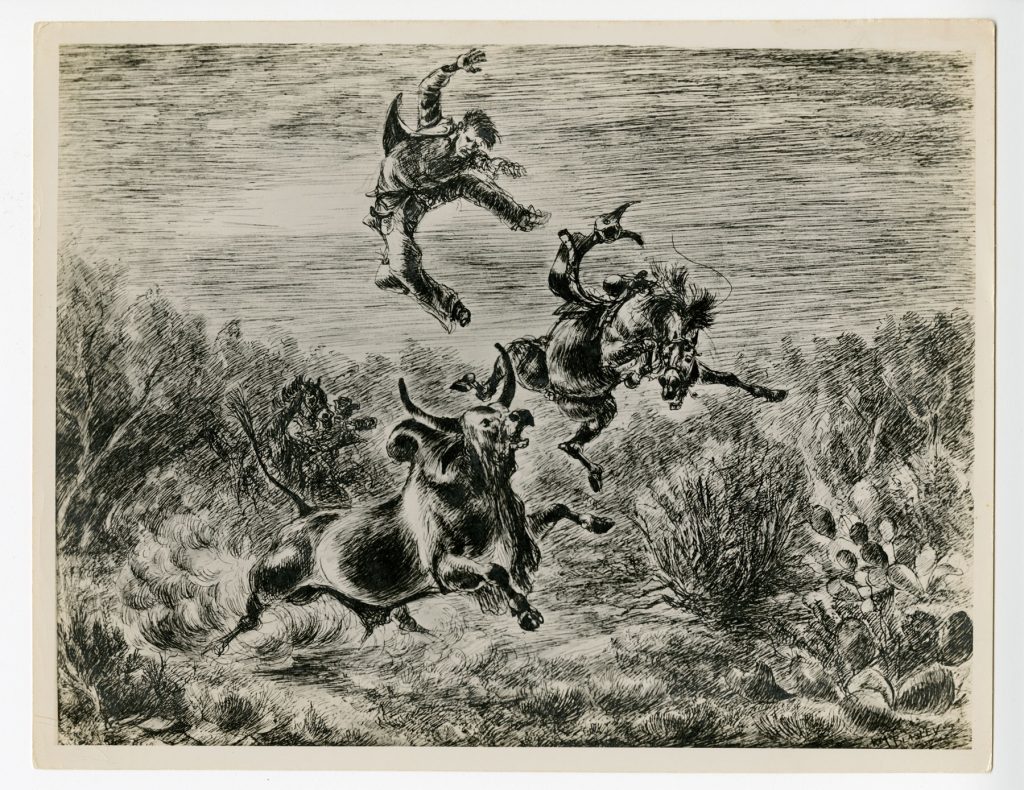 Drawing of steer killing horse as vaquero is launched into the sky.