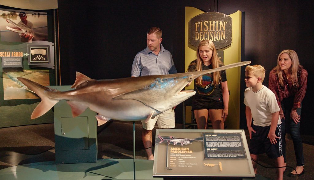 Family looking excitedly at grey colored, giant paddlefish inside the exhibition