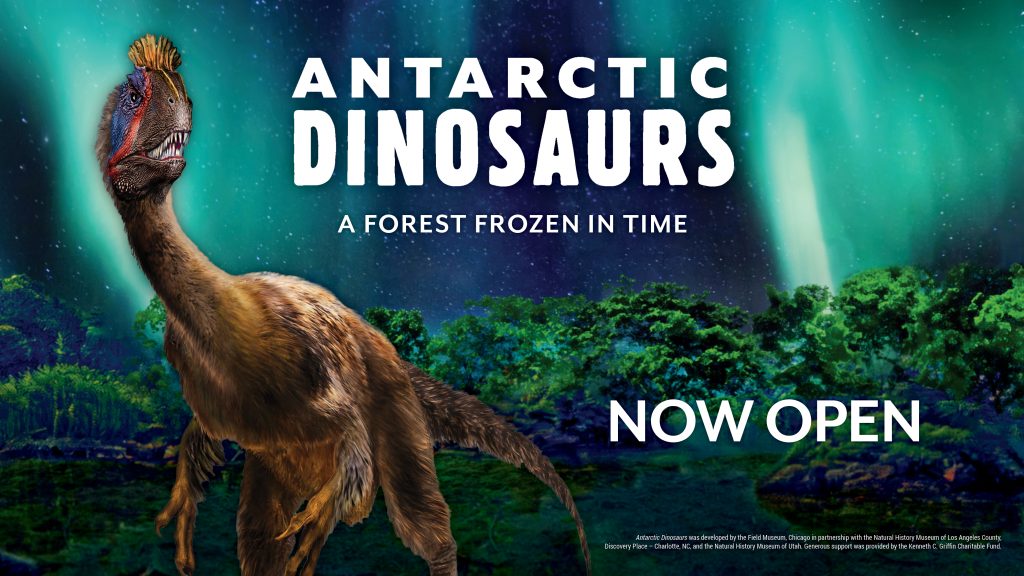 Antarctic Dinosaurs now open. Cryolophosaurus stands in front of the forest and beautiful teal/navy blue sky.