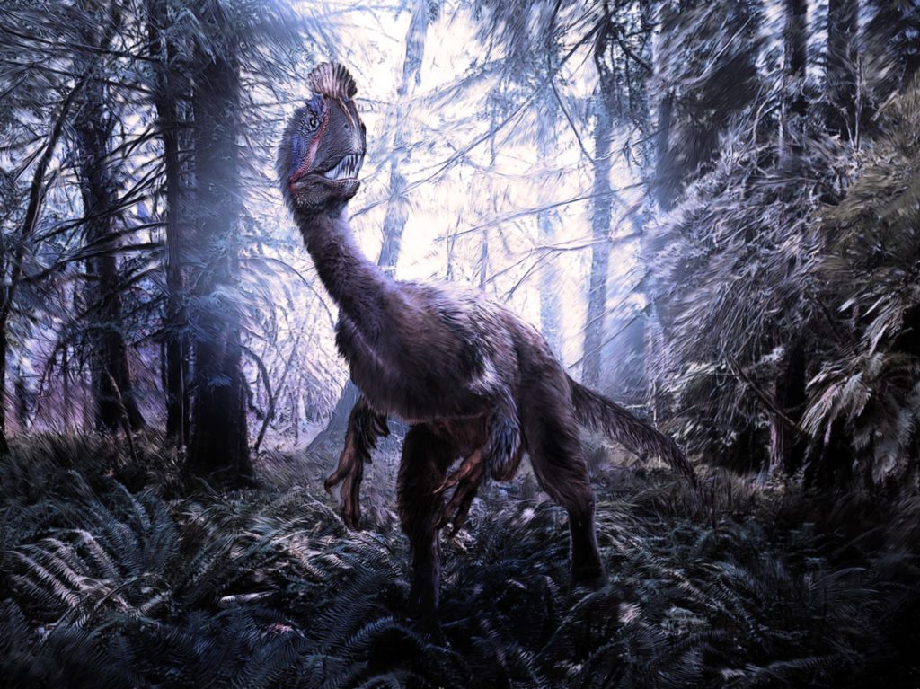 An illustration of a feathered theropod dinosaur with a crest on its head stands in a Jurassic forest in Antarctica.