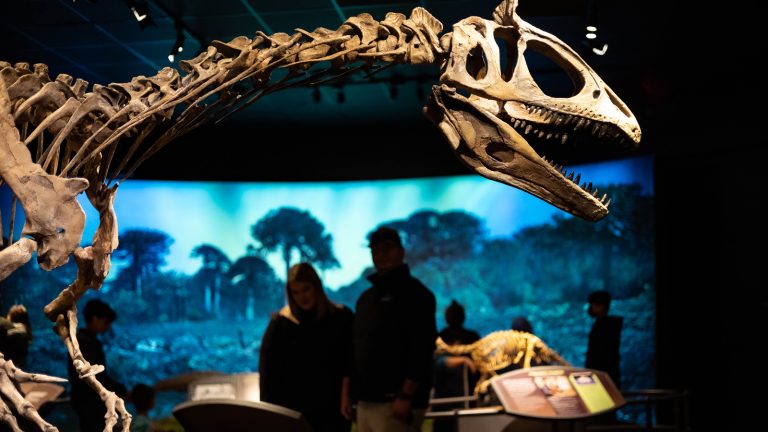 cryolophosaurus fossil in front of blue background with silhouettes of people behind.