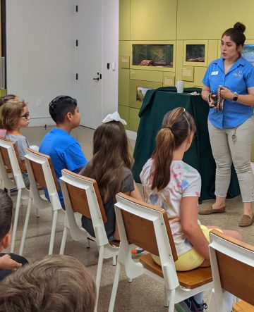 Group of students sitting on chairs in the SWBC Live Lab. In the front stands Witte staff member holding and talking about a snake.