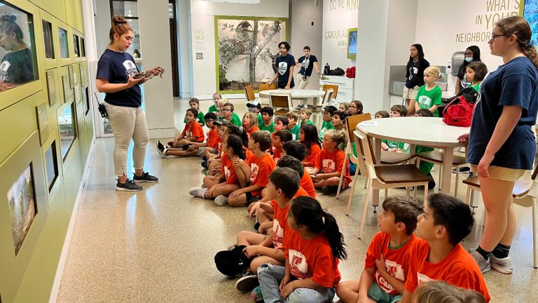 Group of camp students wearing orange camp shirts in the SWBC Live Lab. In the front stands Witte staff member talking about an animal.