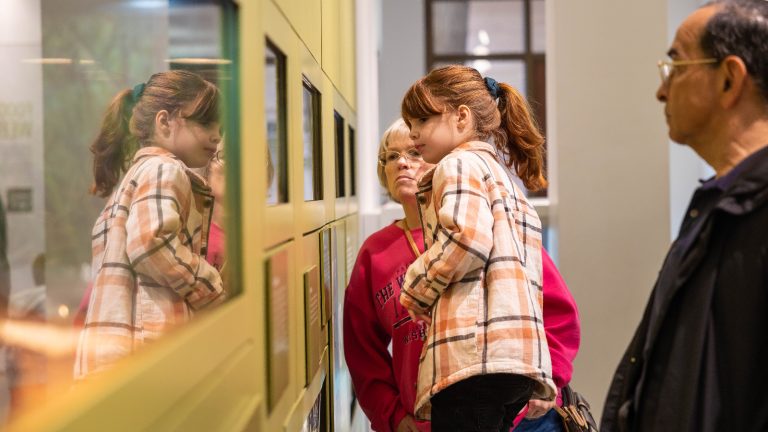 Two elderly people and a young girl peer into a habitat in the SWBC live lab.