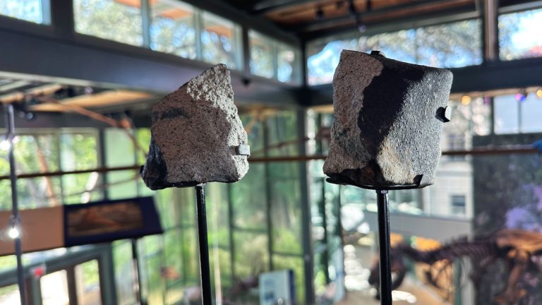 two meteorites on stands