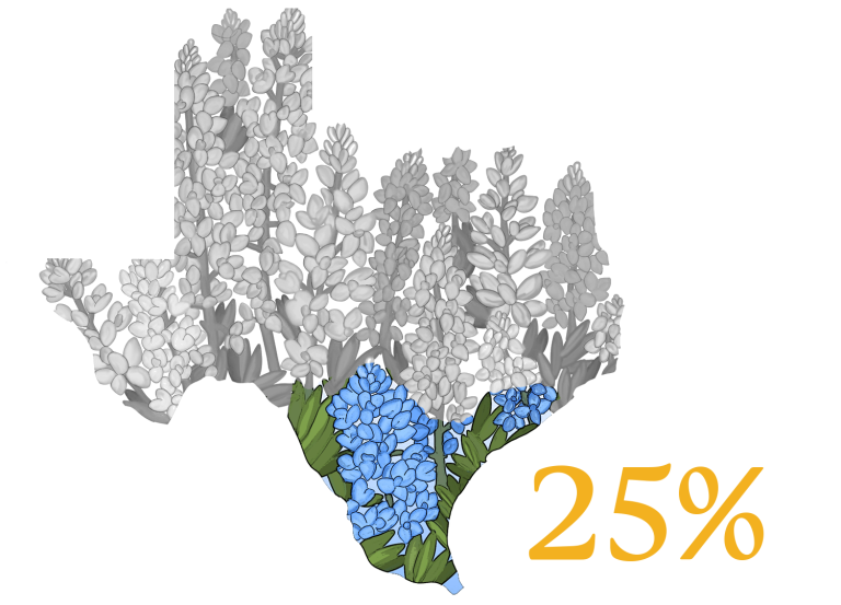 Bluebonnet Texas graphic meter measuring the goal. shows 25% of progress.